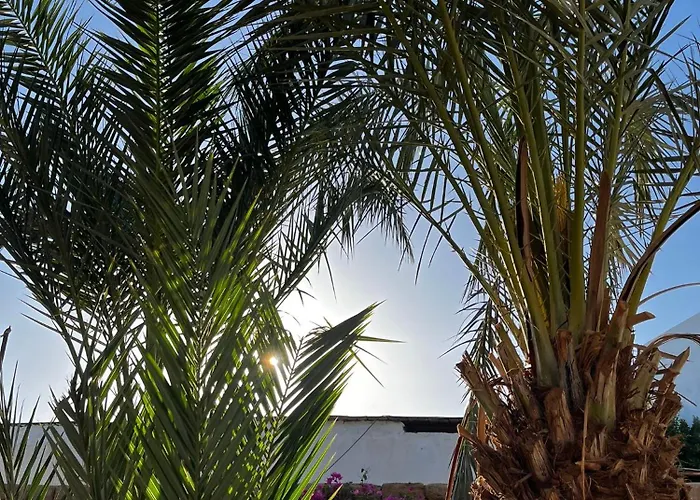 Tatil Evi Makani *